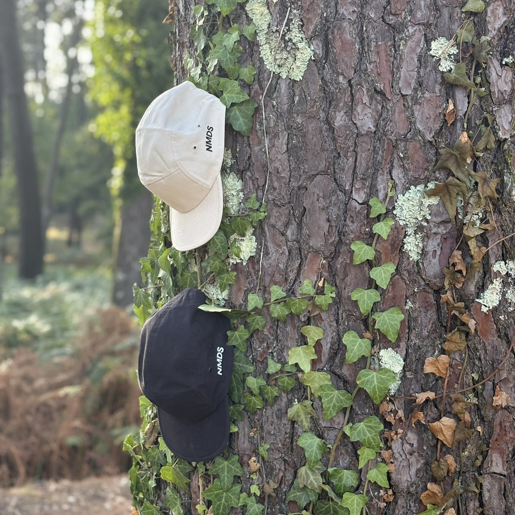 Gorra NMDS