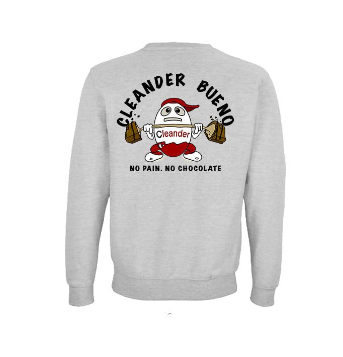 Sudadera Cleander gris vista trasera